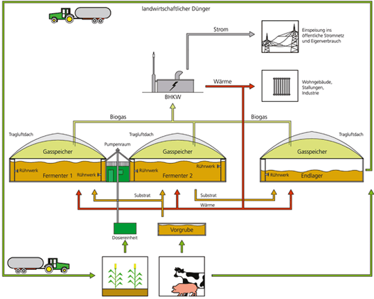 schema